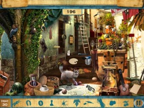 Hidden Objects:Hidden Object Journey to Village Image