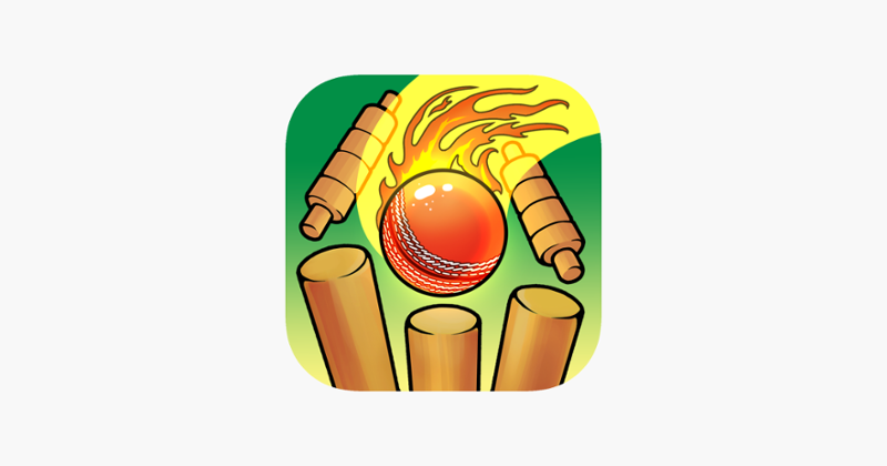 Real Cricket Bowling Practice Game Cover