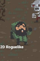 Survive 2D Roguelike Image