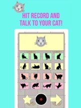 Crazy Cat Translator &amp; Sounds Image