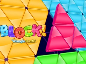 Block Triangle Puzzle Image