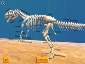 Dinosaur Sim Image