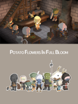 Potato Flowers in Full Bloom Image