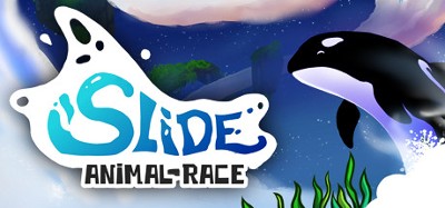 Slide - Animal Race Image