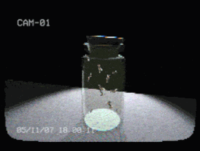 flies in a jar Image