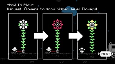 Tuttle: Star Flower Harvest Image