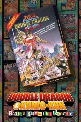 DOUBLE DRAGON Ⅱ: The Revenge Game Cover