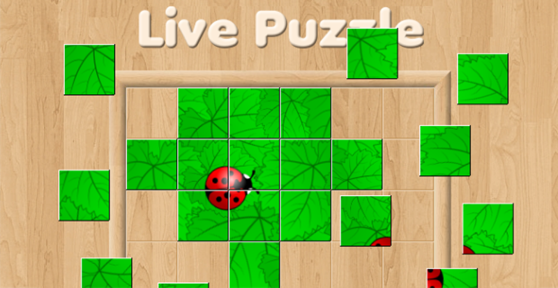 Live Puzzle Game Cover