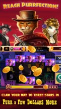 CATS Casino - Real Hit Slots! Image