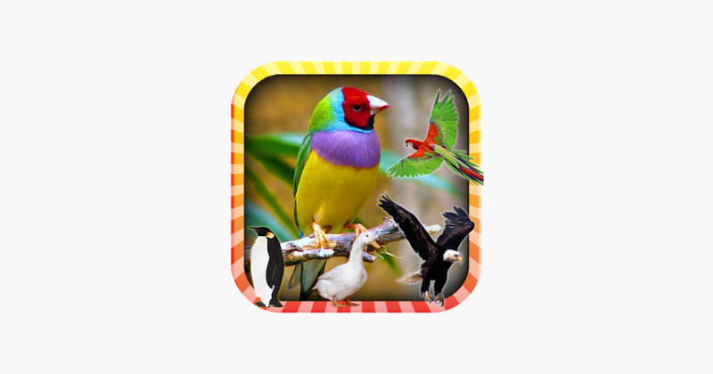 Learn the Birds Phonetic Game Cover
