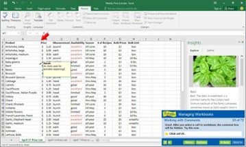 Professor Teaches Excel 2016 Image