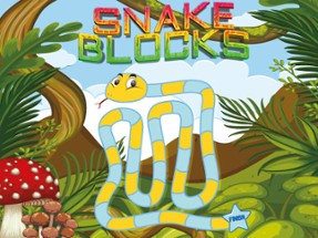 Snake Blocks Image
