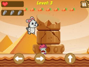 Bunny Run : Desert Escape Image