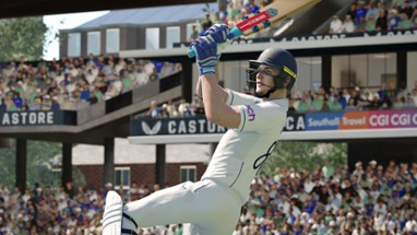 Cricket 24 Image