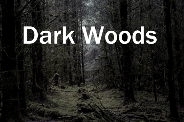 Dark Woods Game Cover