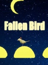 Fallen Bird Image
