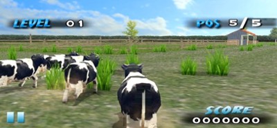 Farm Race Image