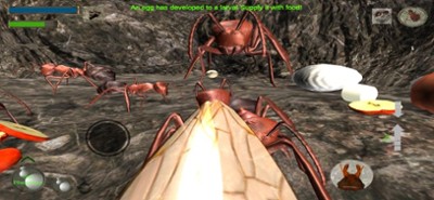 Ant Simulation Full Image