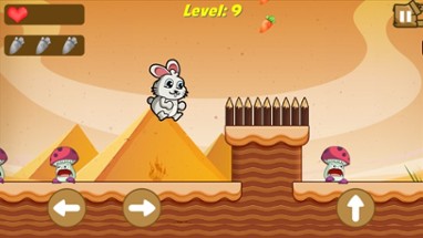 Bunny Run : Desert Escape Image