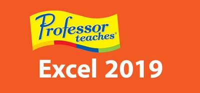 Professor Teaches Excel 2019 Image