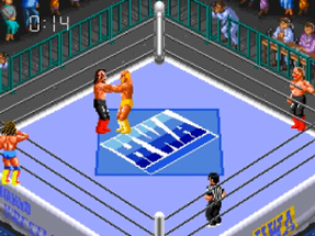 Super Fire Pro Wrestling 3: Final Bout Image