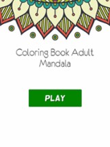 Coloring Book For Adults Pigment Pages Relaxation Image
