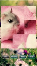 Hamster Puzzles Image