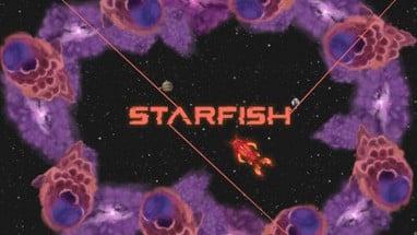 Star Fish Image