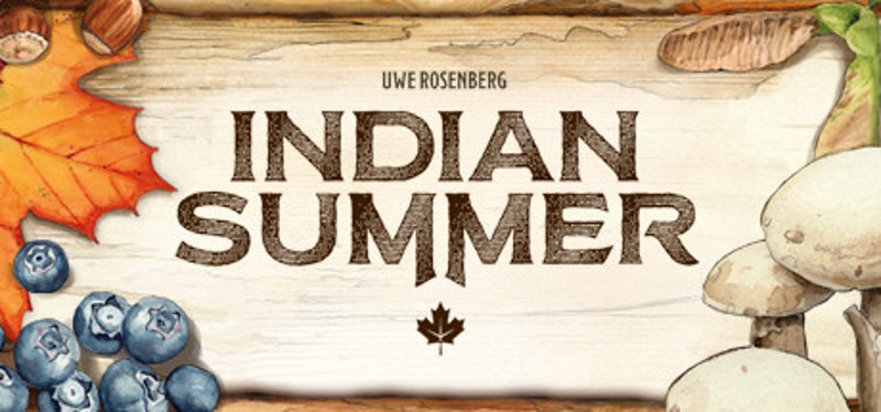 Indian Summer Game Cover