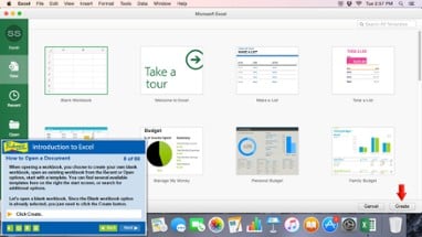 Professor Teaches® Excel 2016 – Mac Image