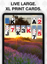 Real Solitaire for iPad Image