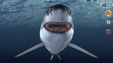 Talking Great White : My Pet Shark Image