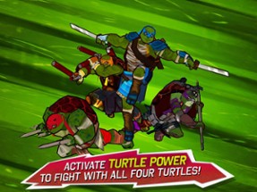 Teenage Mutant Ninja Turtles: Brothers Unite Image