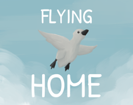 Flying Home Image