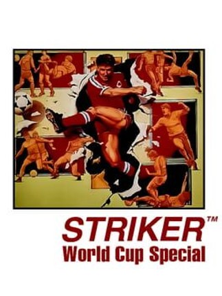 Striker: World Cup Special Game Cover