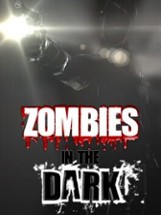 Zombies in the Dark Image