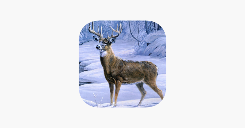 Deer Hunting 3D : Ice Age Game Cover