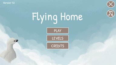 Flying Home Image