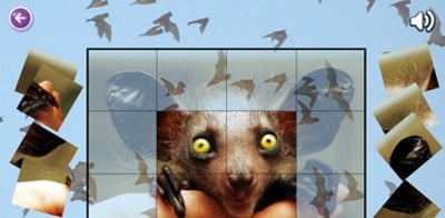 Mouse Puzzles Image