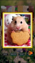 Hamster Puzzles Image