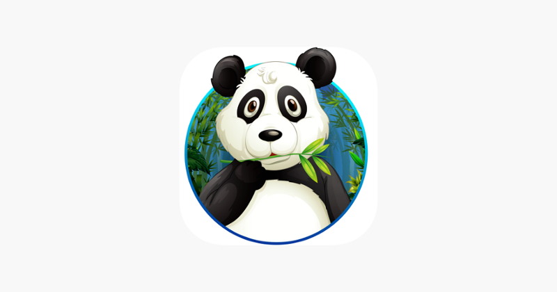 Panda Jump: Panda must jump Game Cover