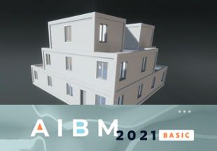 AIBM 2021 BASIC Image
