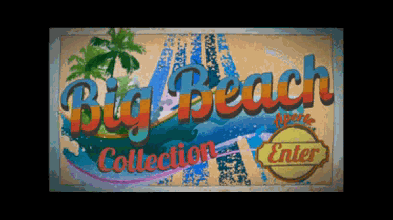 Big Beach Collection Game Cover