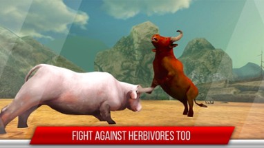 Bull vs Bull Fight: Knock Down Image