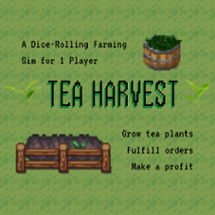 Tea Harvest Image