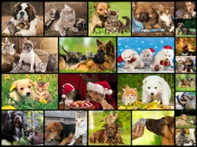Cute Pets - Real Dogs and Cats Picture Puzzle Games for kids Image