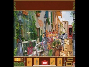 Pack 19 -10 in 1 Hidden Object Image