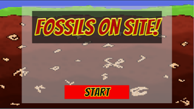 Fossils on site! Image