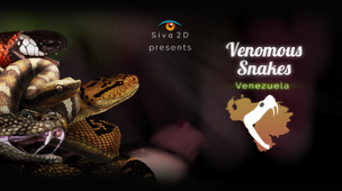 Serpientes Venenosas Venezuela/Venomous Snakes Venezuela Image