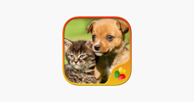 Cute Pets - Real Dogs and Cats Picture Puzzle Games for kids Image